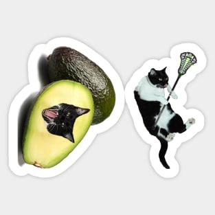 Lacrosse Cat and Avocato Combo Sticker